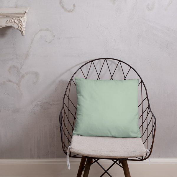 Gift for Vegans- polyester Pillow- Sleeping Great knowing I Don't Harm Animals - Image 8